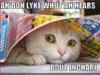 ELLYCAT SEZ