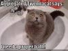Aggregated Twennacat