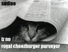 Temmycat iz sad