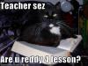 Teacher sez...