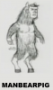 bov's picture