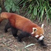 eloriane's picture