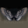 Raigne's picture