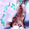 SongCoyote's picture